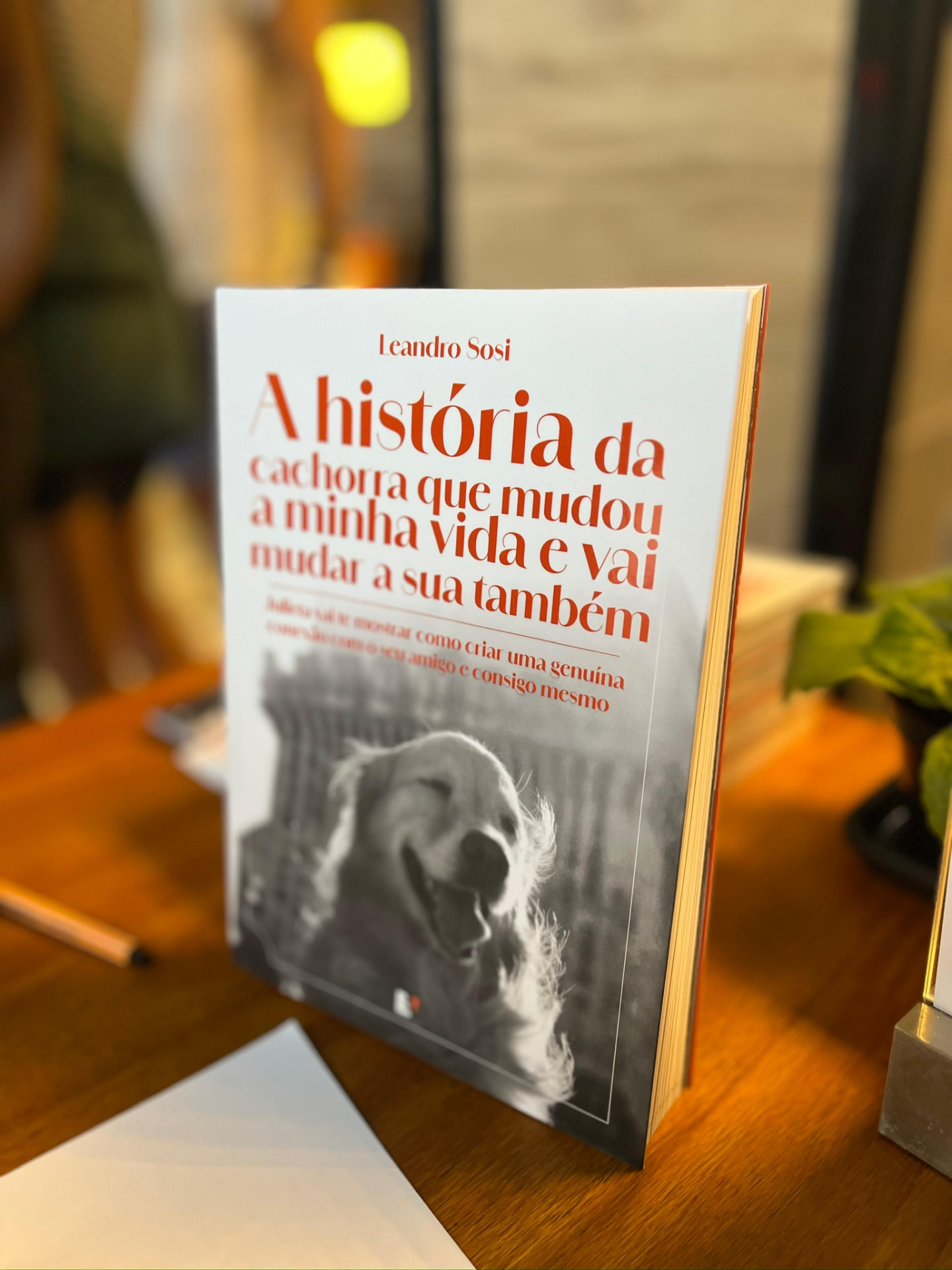 Exemplar físico do livro A história da cachorra que mudou a minha vida e vai mudar a sua também, de Leandro Sosi